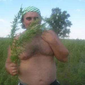 сбор трав