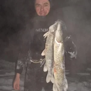 31 р.Десна