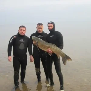 саратов.. бабаевские мели..белый амур