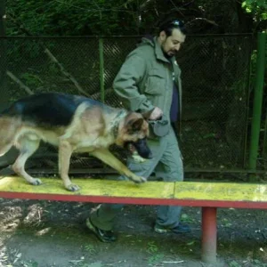 DSCN2730