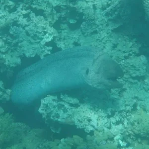 P2130101