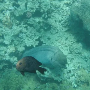 P2130113