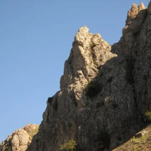 DSCN0614