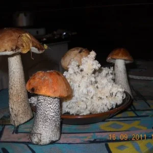 Натюрморт