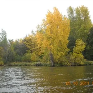 Осень 2011