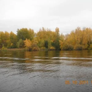Осень 2011