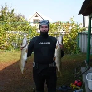 Лето 2011. Щючки на 2.5 и 3 кг., стояли в пол воды в траве (охотились), против течения. Глубина около 1-2 метров.