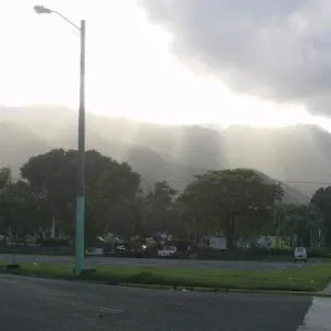 IMAG0008