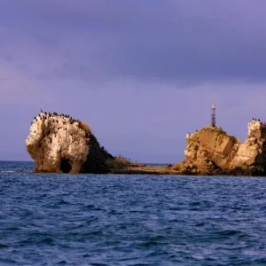 Ослиные уши