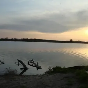 DSC04555