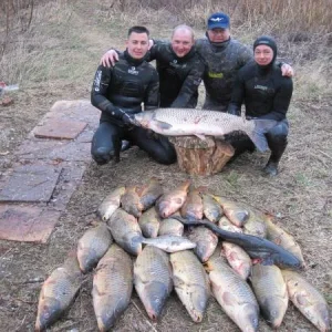 квартет