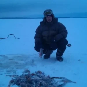 Рыбинка, окуни.