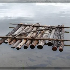 getImage (12)