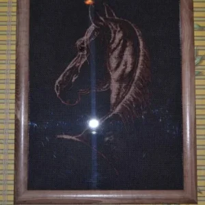 DSC 0080 (738x800)