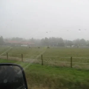IMG 0013