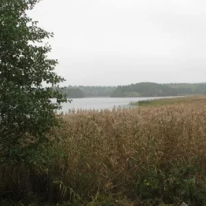 IMG 0016