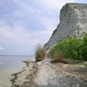 DSCN2578