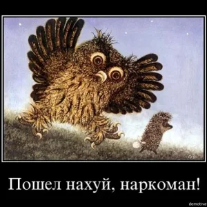 1251123858 jb3ffnwwttl7