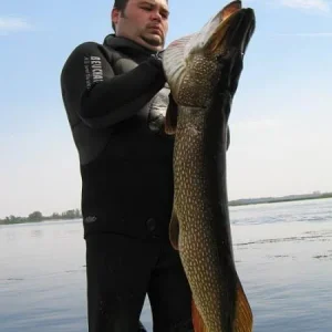 BRANT 14