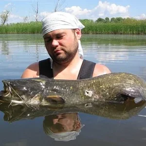 ВСЕ СПЯТ