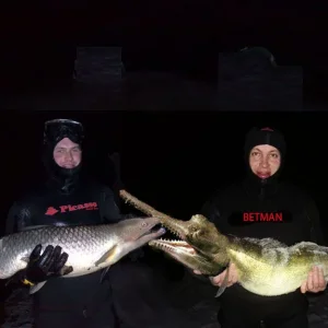 Фон для рыпп