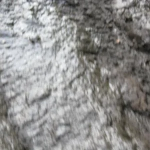 [No title]