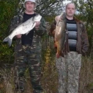 жерех 5, сазан 6,5