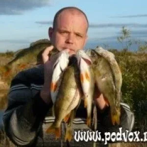 окушки