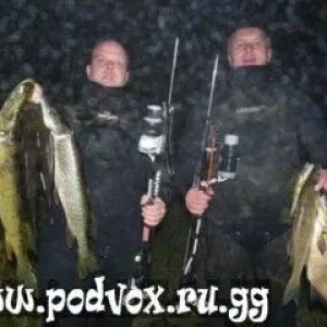 охотники в тумане