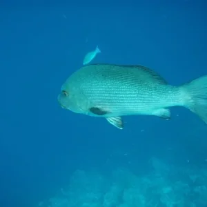 PB162873