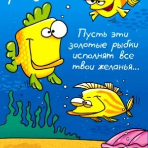 д.р.