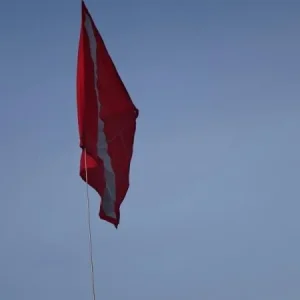 DSC00209