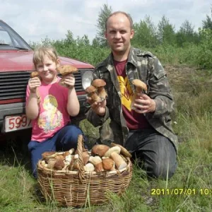 грибы я то же люблю собирать особенно такие