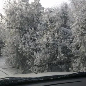 Дорога на Ланжерон! Как в сказке! Красота!
