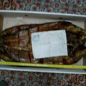 сазан