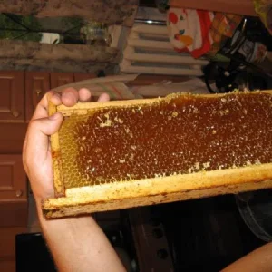 и такой