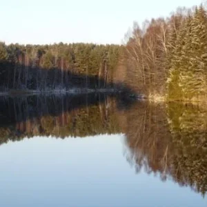 P1030942