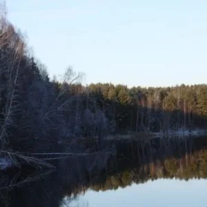 P1030943