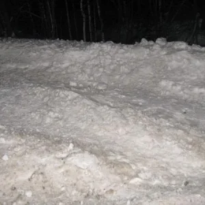 занесло