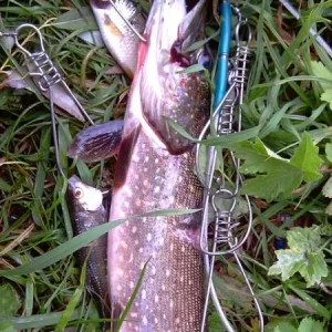 Первая, в профиль...