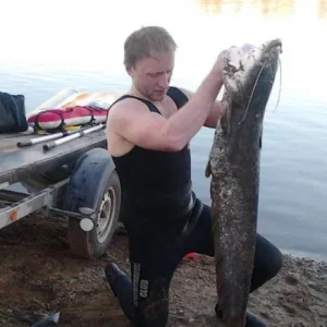 12кг