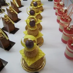 EUROPAIN-2012