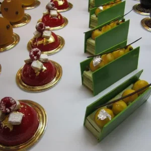 EUROPAIN-2012