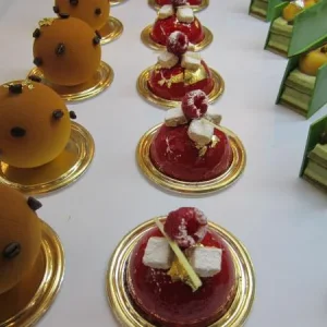 EUROPAIN-2012
