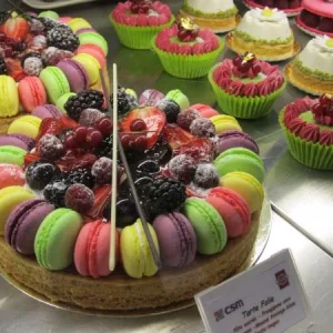 EUROPAIN-2012