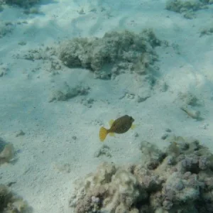 PC120462