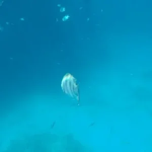 PC130523