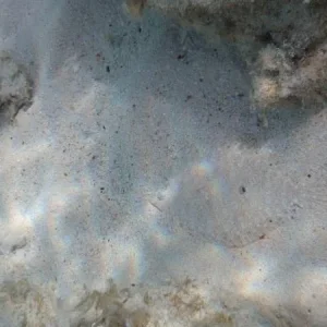 PC140761