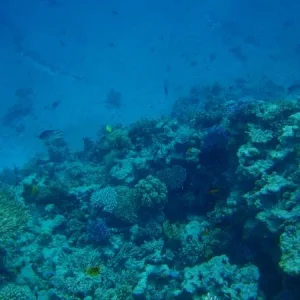 PC140676