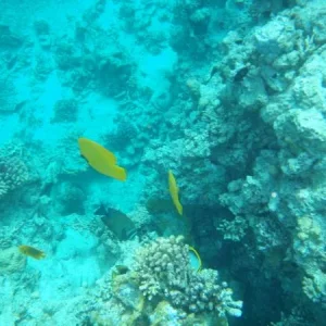 PC140678